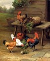 Poultry In A Barnyard poultry livestock barn Edgar Hunt